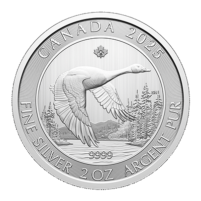 A picture of a 2 oz Canada Goose Silver Coin (2025)